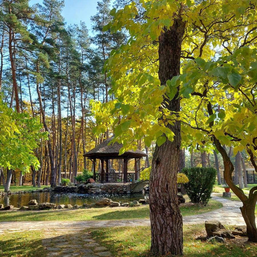 Orlovshchina Kohavi Forest Club المظهر الخارجي الصورة